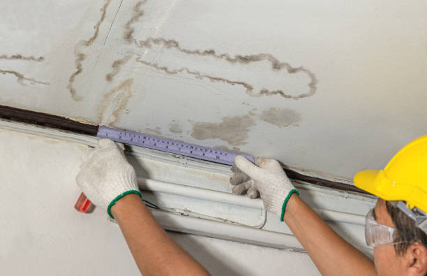 Reliable Structural Drying contractor in Mount Pleasant, MI by Water Damage Irwin